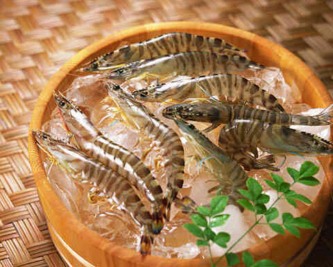 Ăn gì khi mang thai để con thông minh hơn?